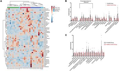 Serum metabolomic characterization of PLA2G6-associated dystonia–parkinsonism: A case-control biomarker study